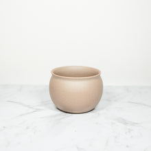 Load image into Gallery viewer, Small robusta succulent pot