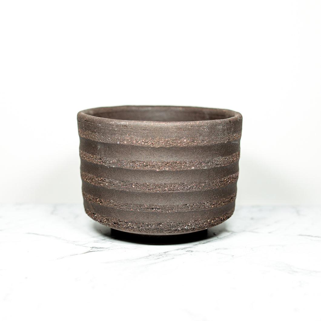 TERRA SP. Raw