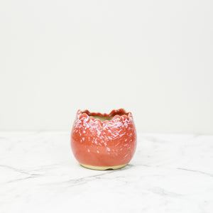 red Glazed egg plant pot for succulents and cacti